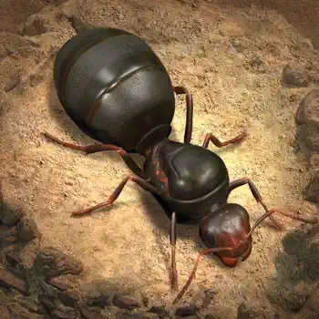 The Ants: Underground Kingdom müşteri hizmetleri