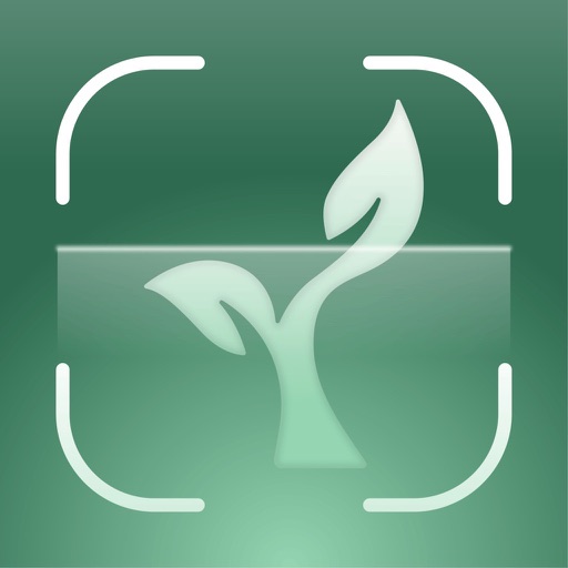 LeafyLens: Plant Identifier