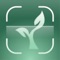 The MOST accurate plant identification app