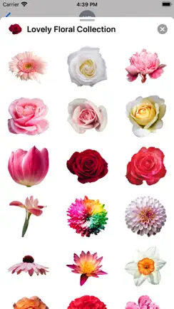 Lovely Flower Collection iPhone image 3