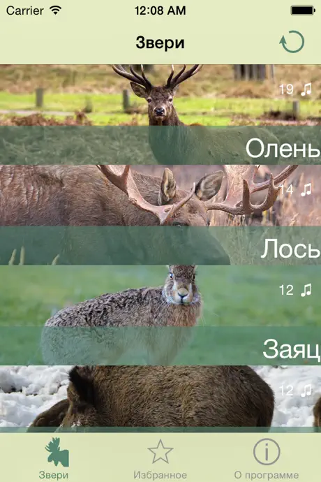 Манок на зверя