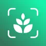 Plant Finder - Identify Plants