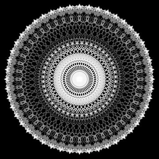 Symmetry Lab Basic
