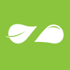 Zaatar w Zeit - Breakfast & co