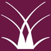 eDelubac icon