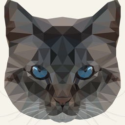 Frankie by Creativecrap
