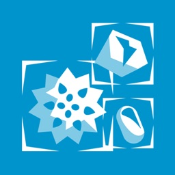 Particle Sense
