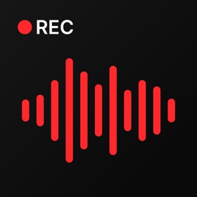 Voice Recorder AI Notes: Spiik