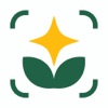 PlantAID:identifier&care guide icon