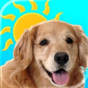 Sundoggy