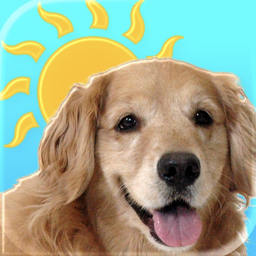 Sundoggy