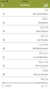 Quraan-E-Karim (15 Lines) screenshot