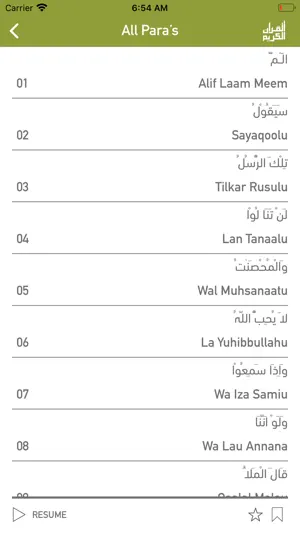 Quraan-E-Karim (15 Lines) screenshot 4
