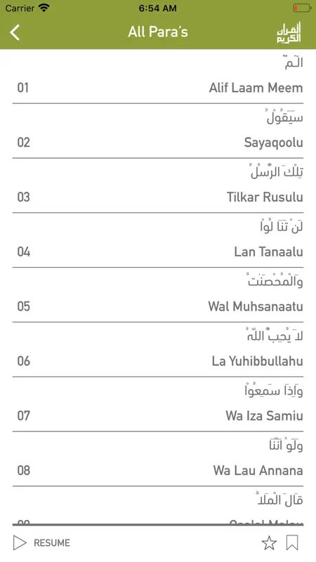 Quraan-E-Karim (15 Lines) screenshot 4 of 5