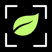 Tree & Plant Identifier