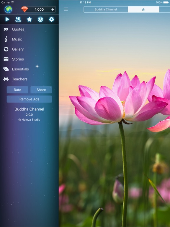 Screenshot #5 pour Buddha Quotes: Buddhist Wisdom