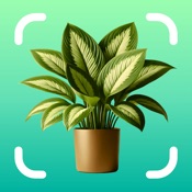 Plant Identifier: Nature ID AI