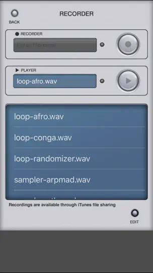 Скриншот GyroSynth на iPhone 2