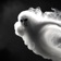 QuitMaster - Quit Smoking Now app icon - Health & Fitness app for iPhone