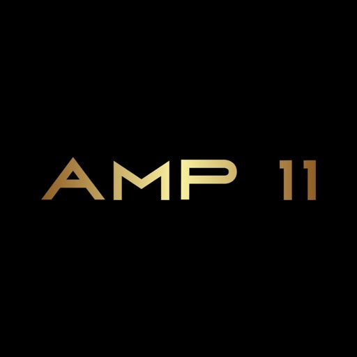 AMP 11