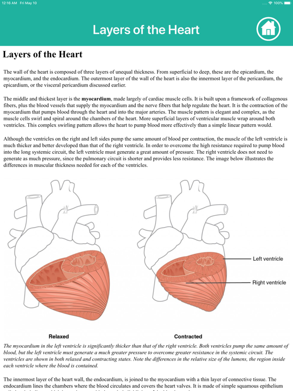 Learn Heart Anatomy iPad screenshot