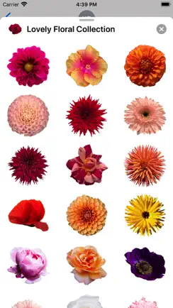 Lovely Flower Collection iPhone image 2