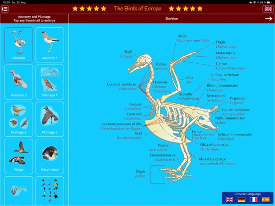 Birds of Europe iPad screenshot