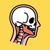 AnatoMe icon