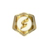 Solidus Associação icon