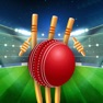 Get Cricket Score - CricLiveScore for iOS, iPhone, iPad Aso Report