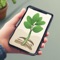 Discover the world of plants with our Plant Identifier app