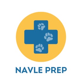 NAVLE Practice Test