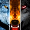 Wolf Online - iPadアプリ