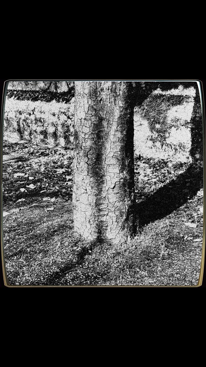 Vica Vintage Camera Simulator screenshot-7