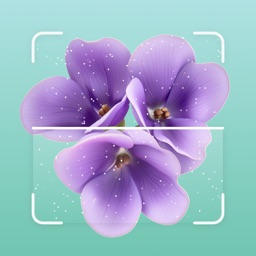 AI Plant Identification App