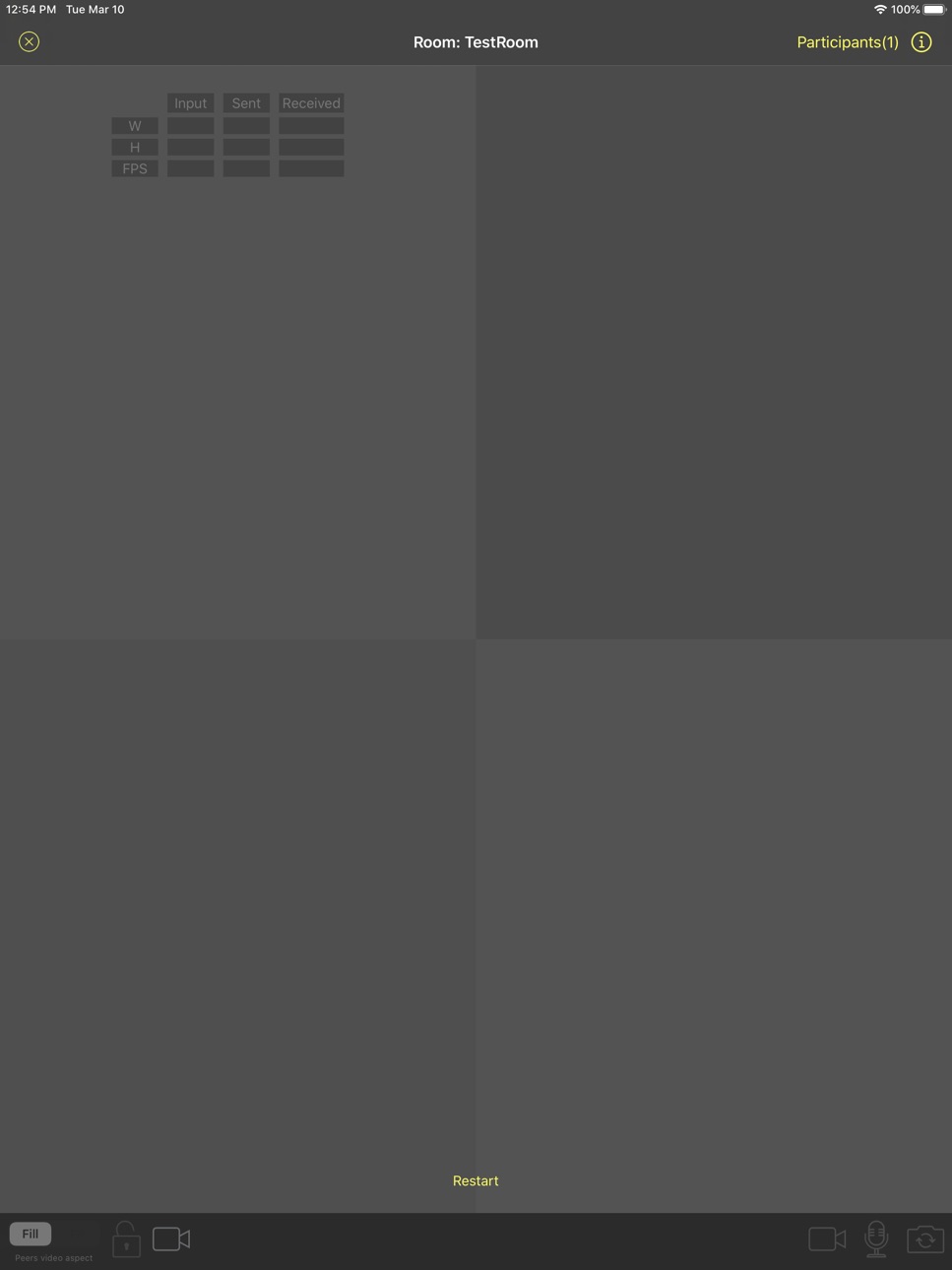 iPad screenshot