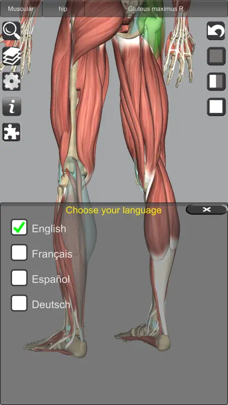 3D Bones and Muscles (Anatomy) screenshot 9 of 10