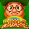 Shamrock Match Bingo icon