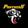 Ringerike Panthers icon