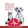DDx in Small Animal Medicine