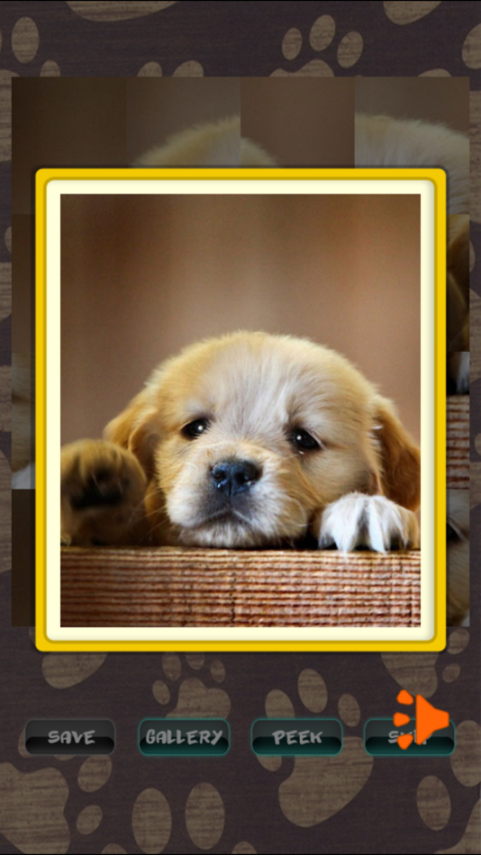 #3. Cute Puppies Puzzle (iOS) By: John Smith