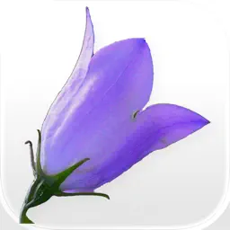 Idaho Wildflowers app icon