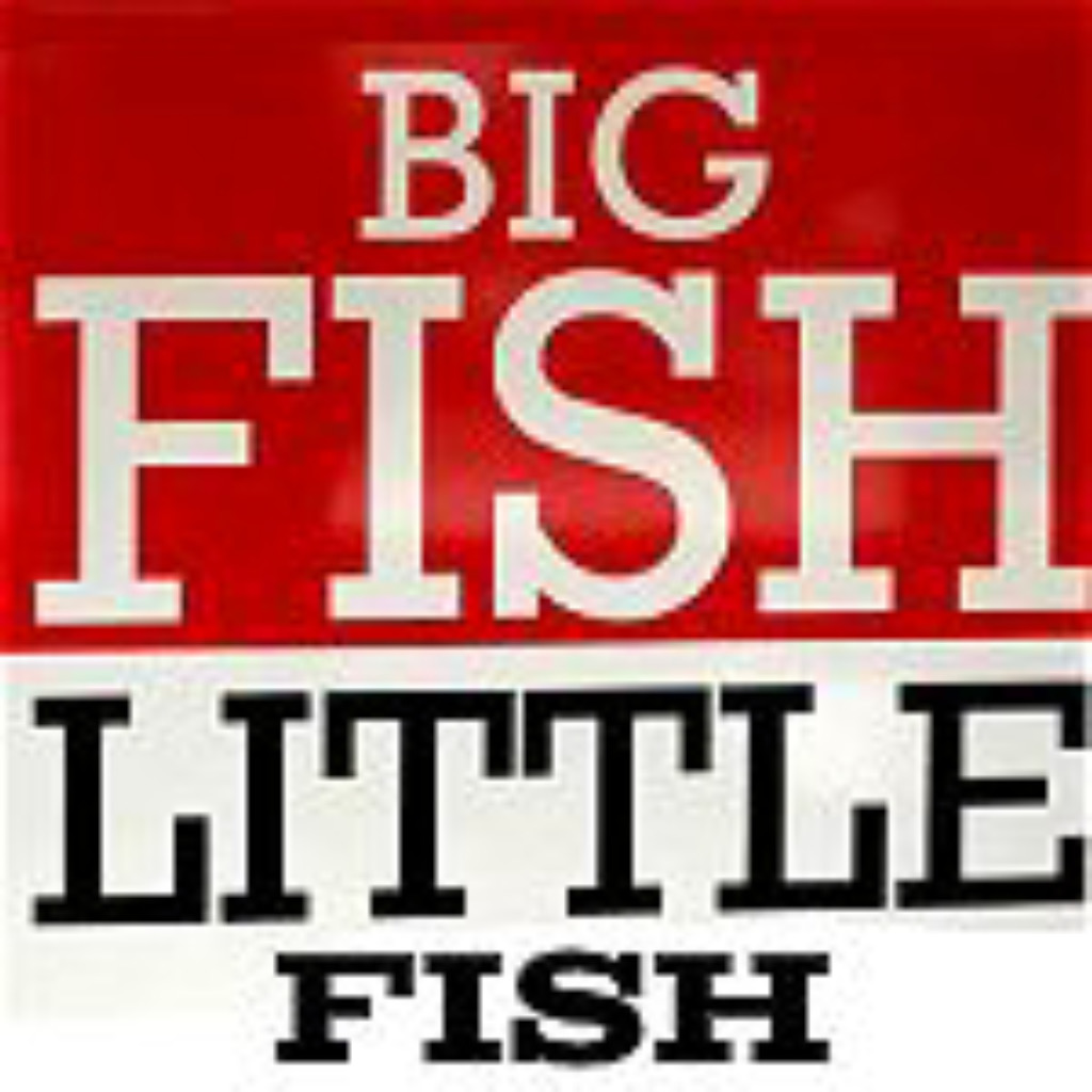 Get Big Fish Little Fish for iOS, iPhone, iPad Aso Report