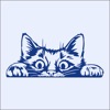 Tekir Haber icon
