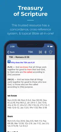 Blue Letter Bible: скриншот 3 из 5