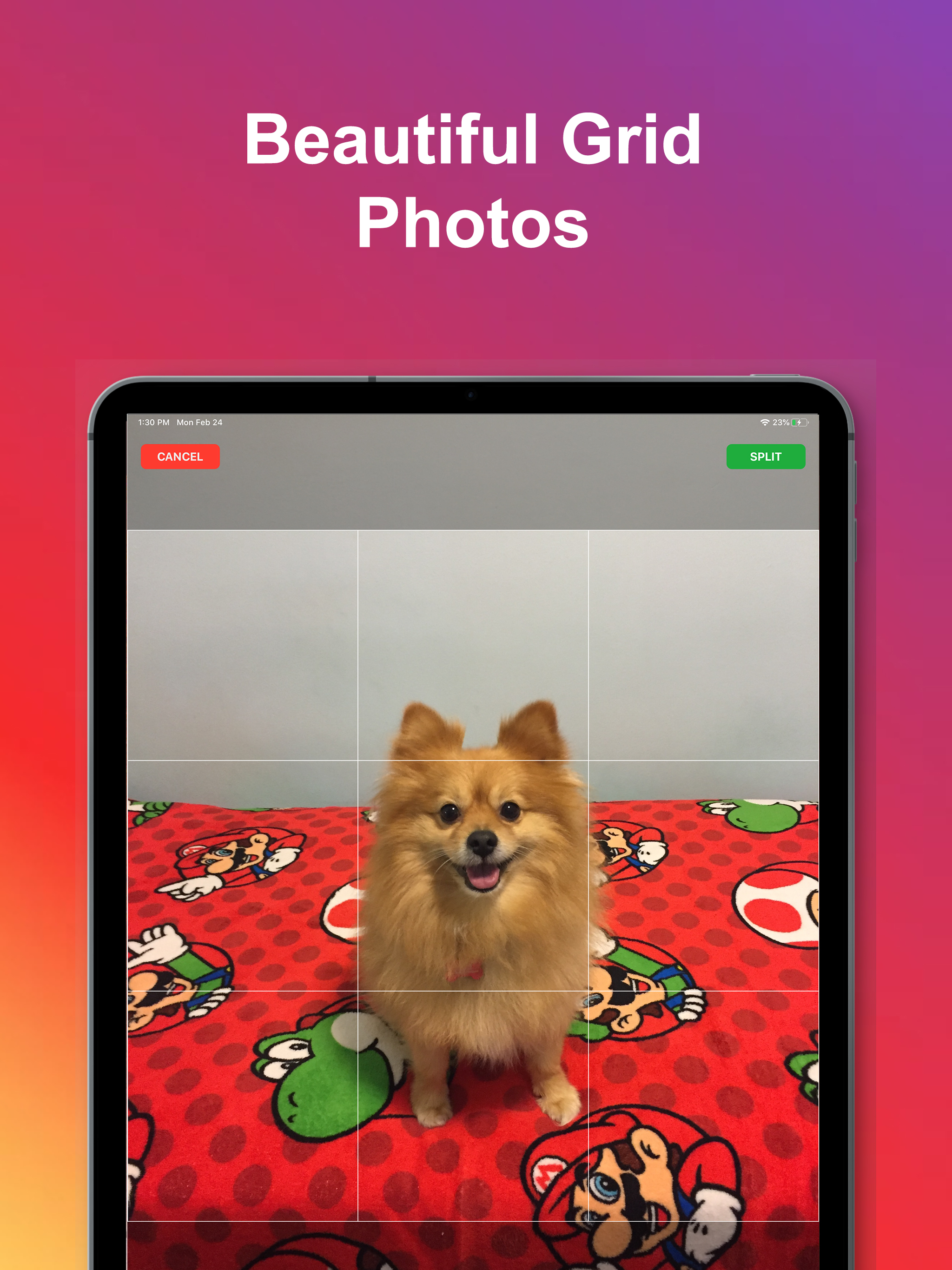 Photo Splitter: Picture Grids screenshot 4