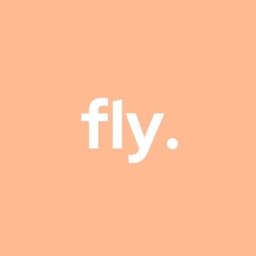 fly.
