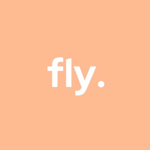 fly.
