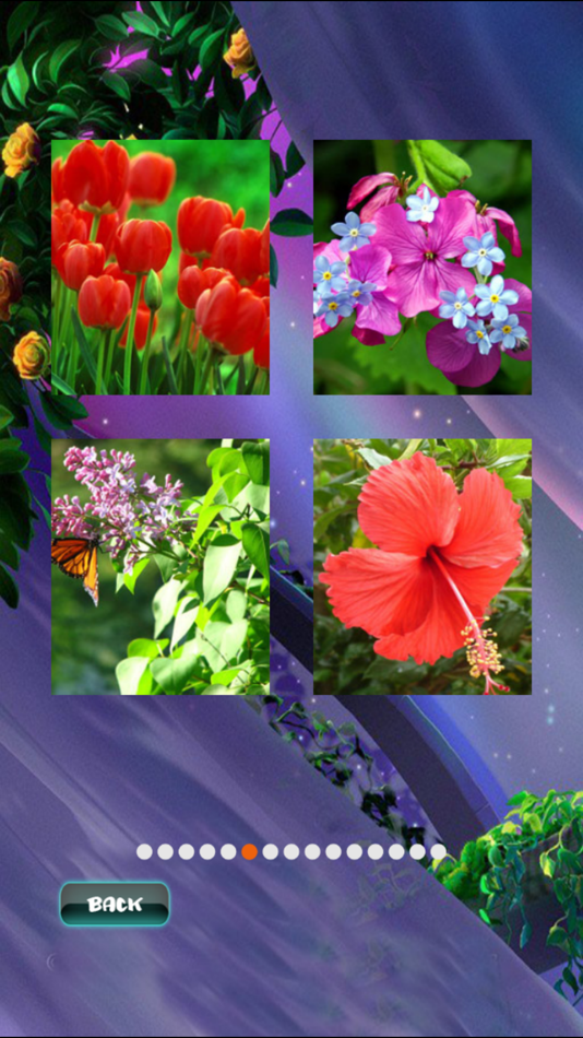 #4. Spring Jigsaw Puzzles (iOS) Podle: John Smith