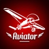 Aviator Flight Wise icon